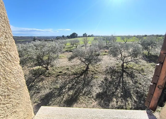 Le Puits Des Oliviers Holiday home Puimoisson