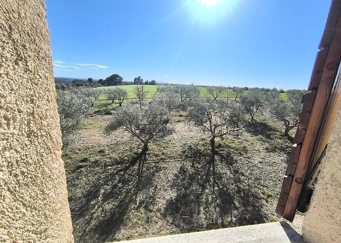 Le Puits Des Oliviers Holiday home Puimoisson